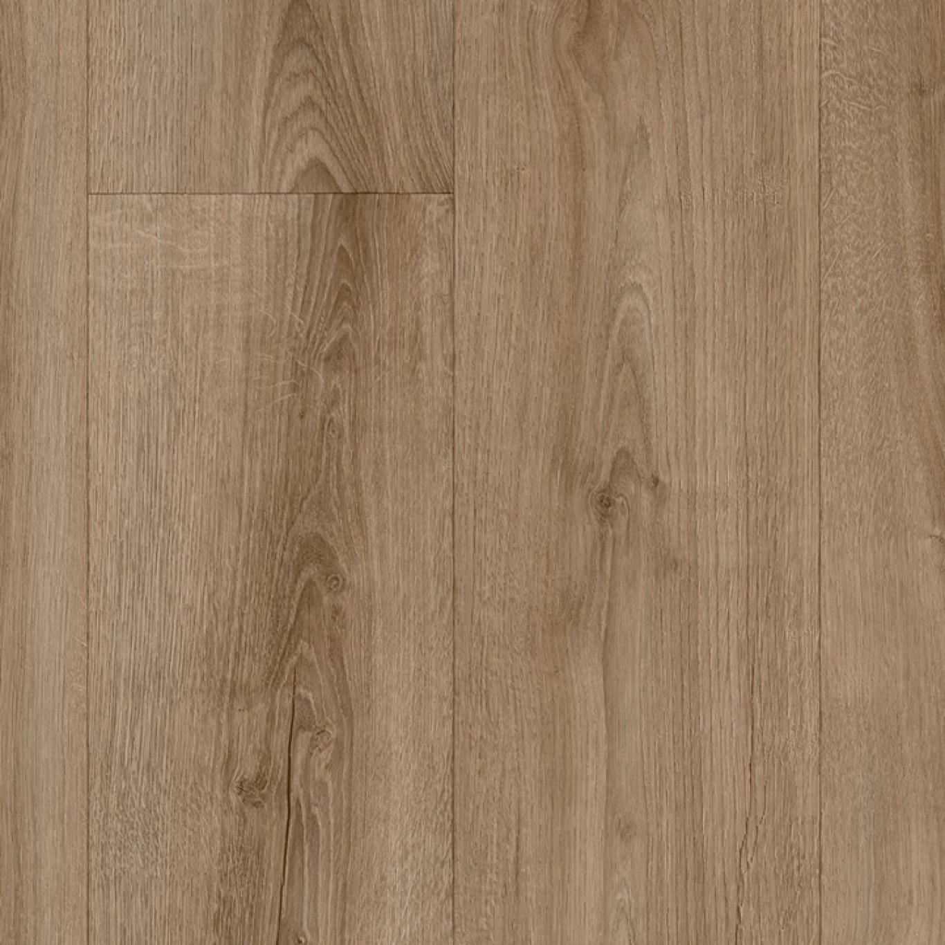 Sundance Oak 547
