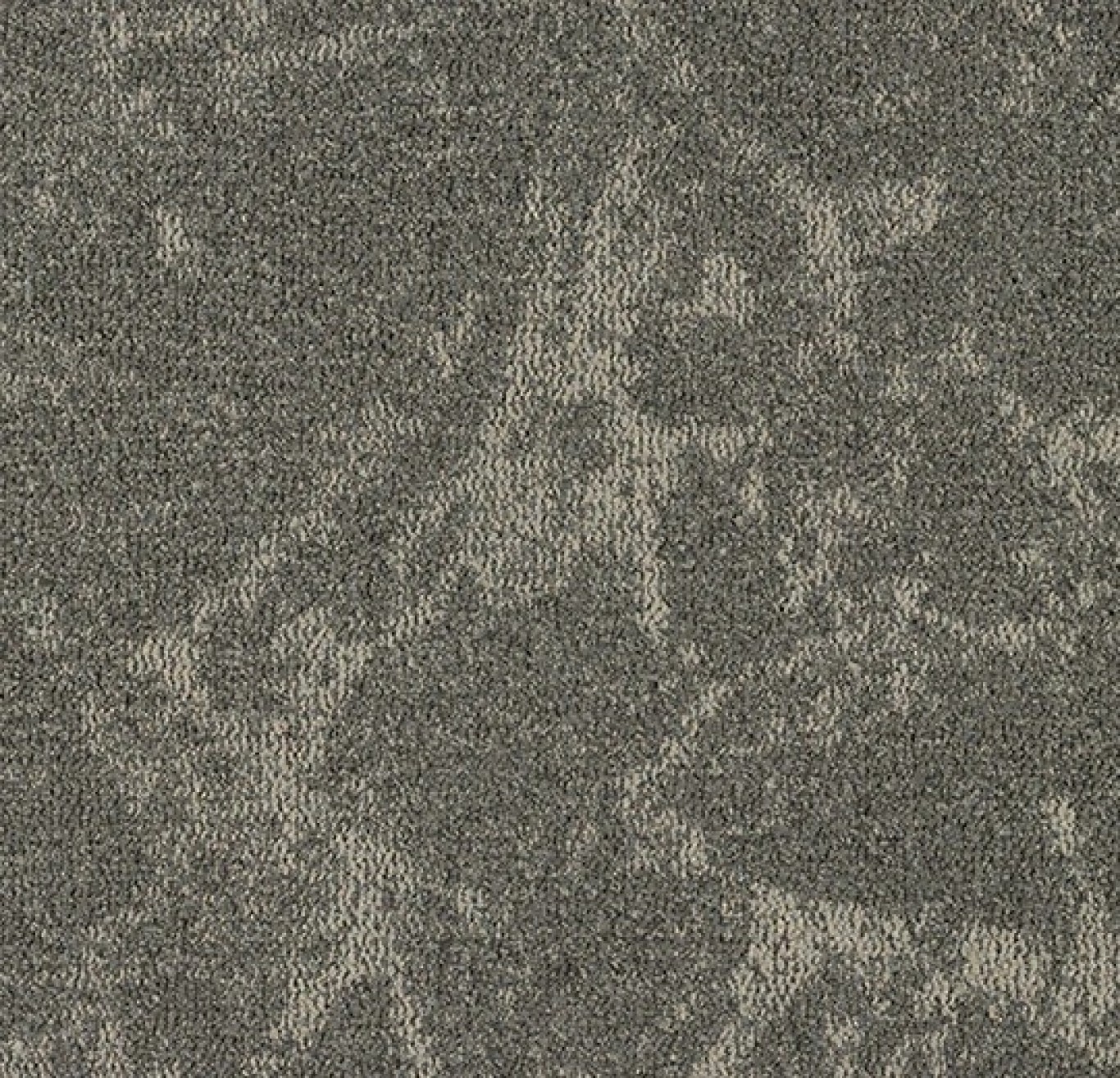 5104 mild mushroom