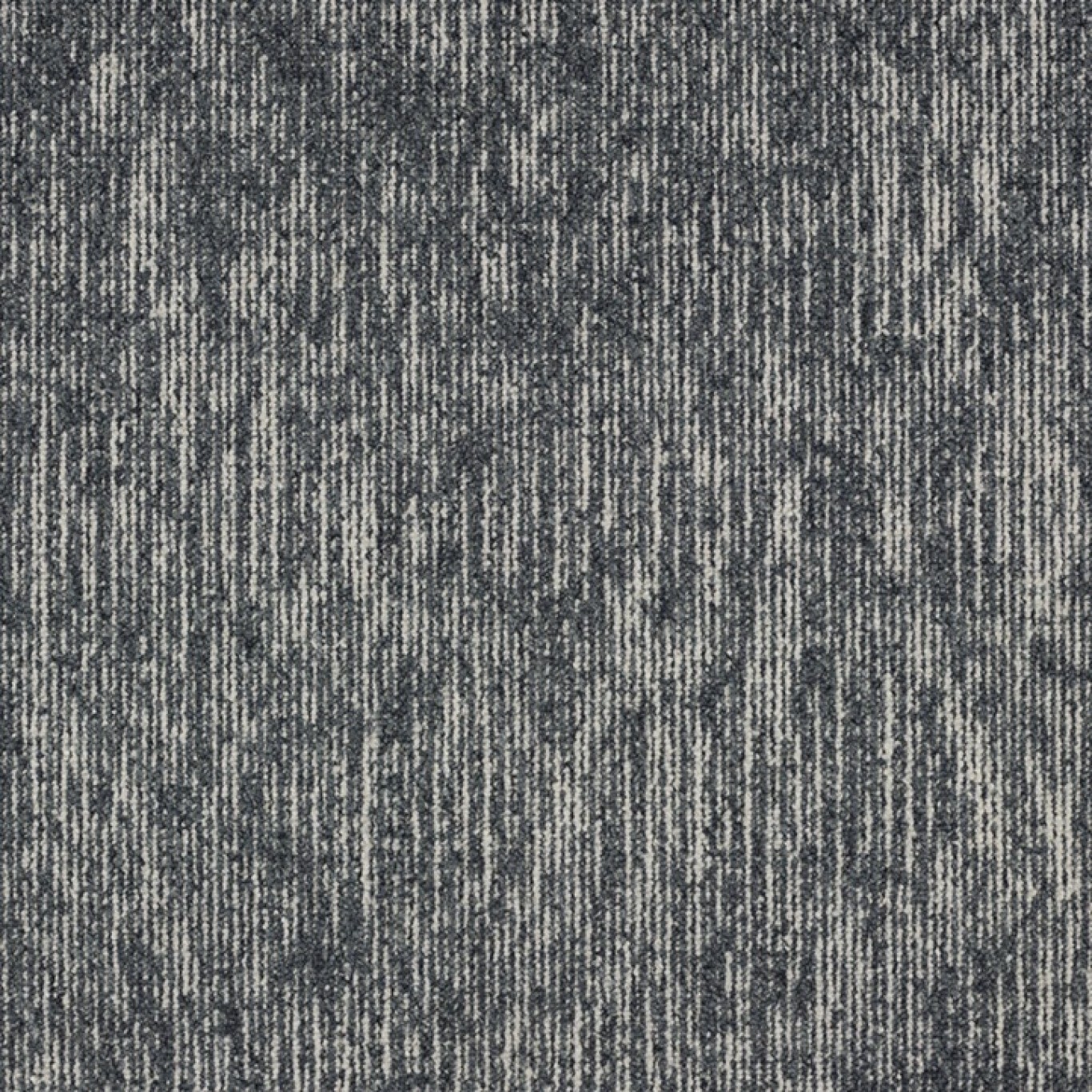 569