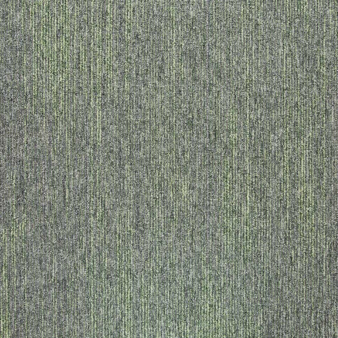 36005 Base Pastel