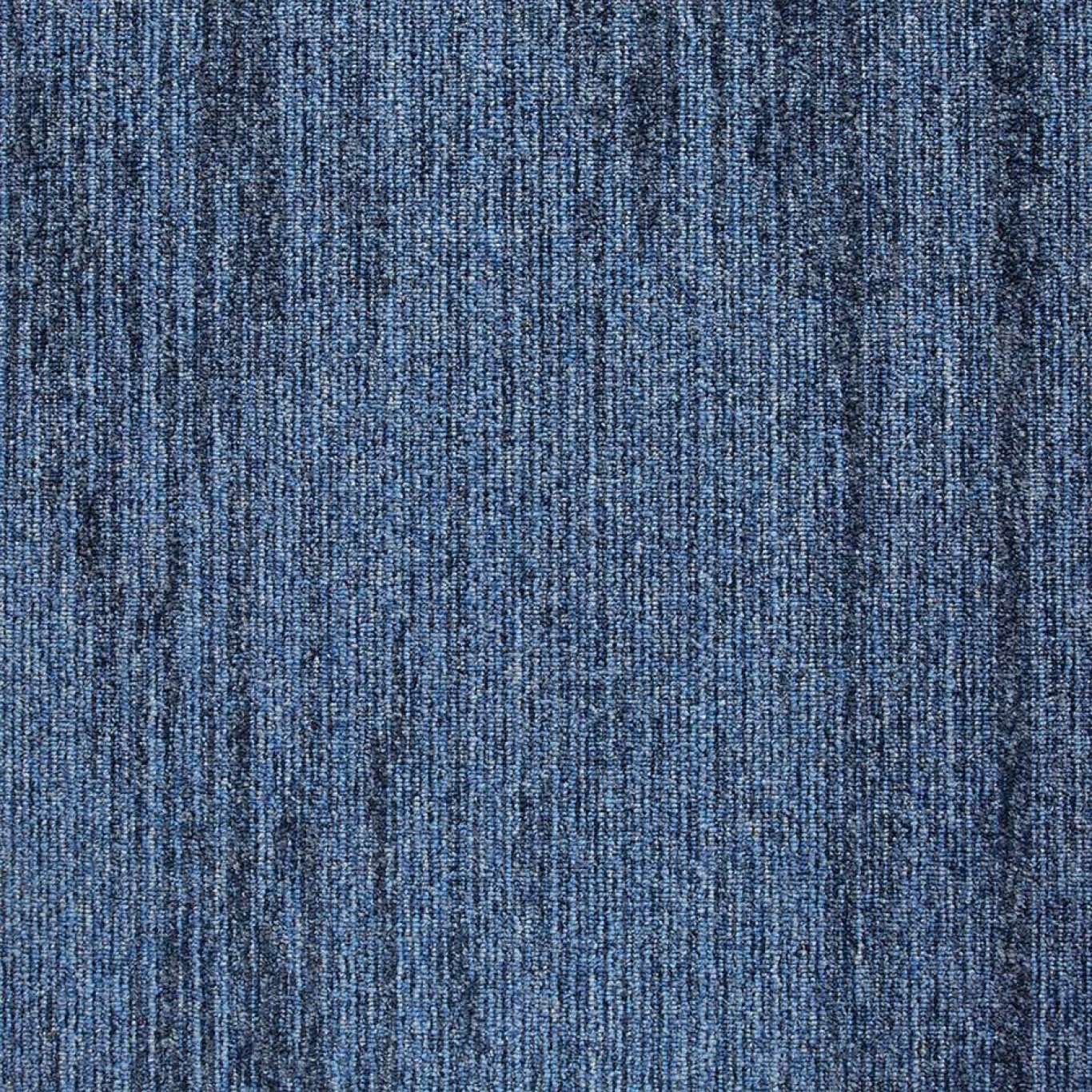 36003 Pigment Tide