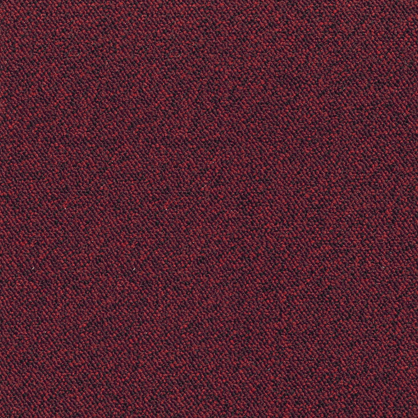 Maxima_tile_productshot_12_hr