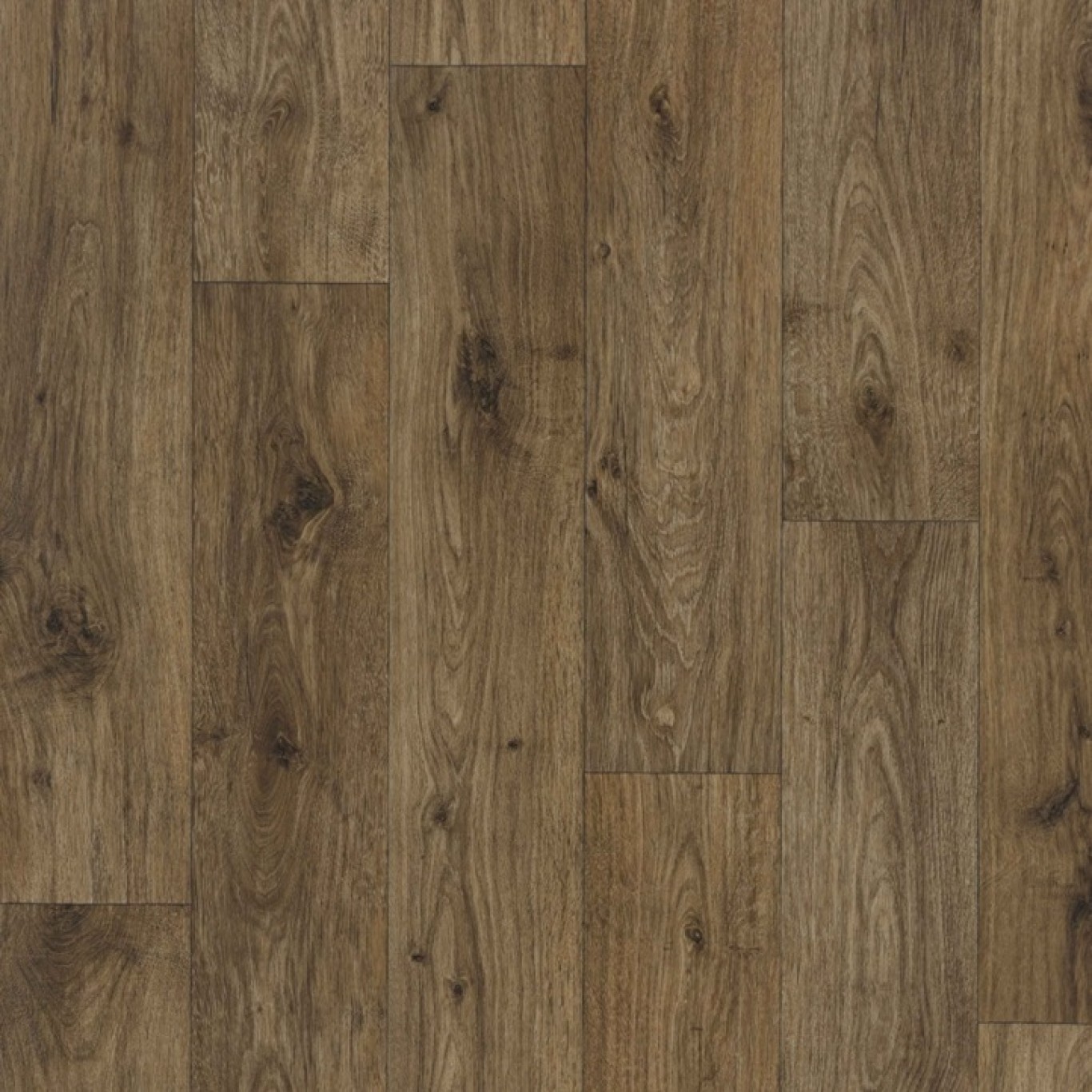 Ohrid Oak S41