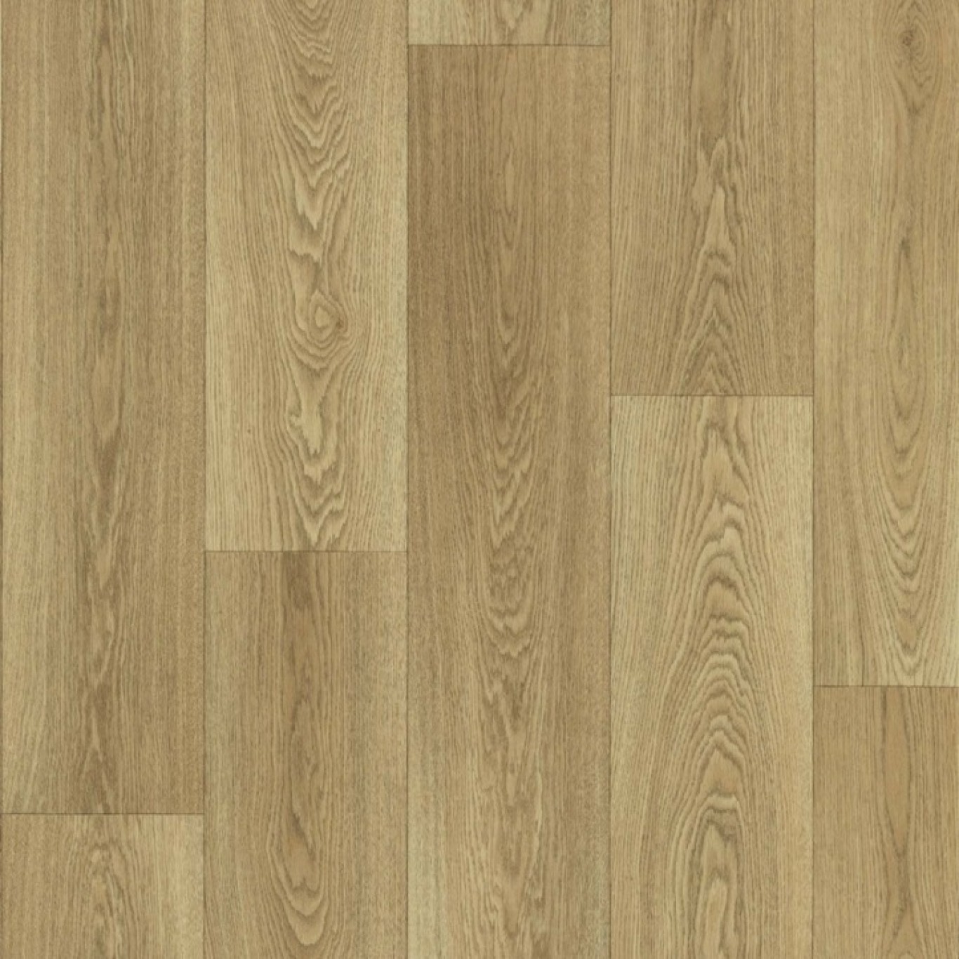 Beskidy Oak S50
