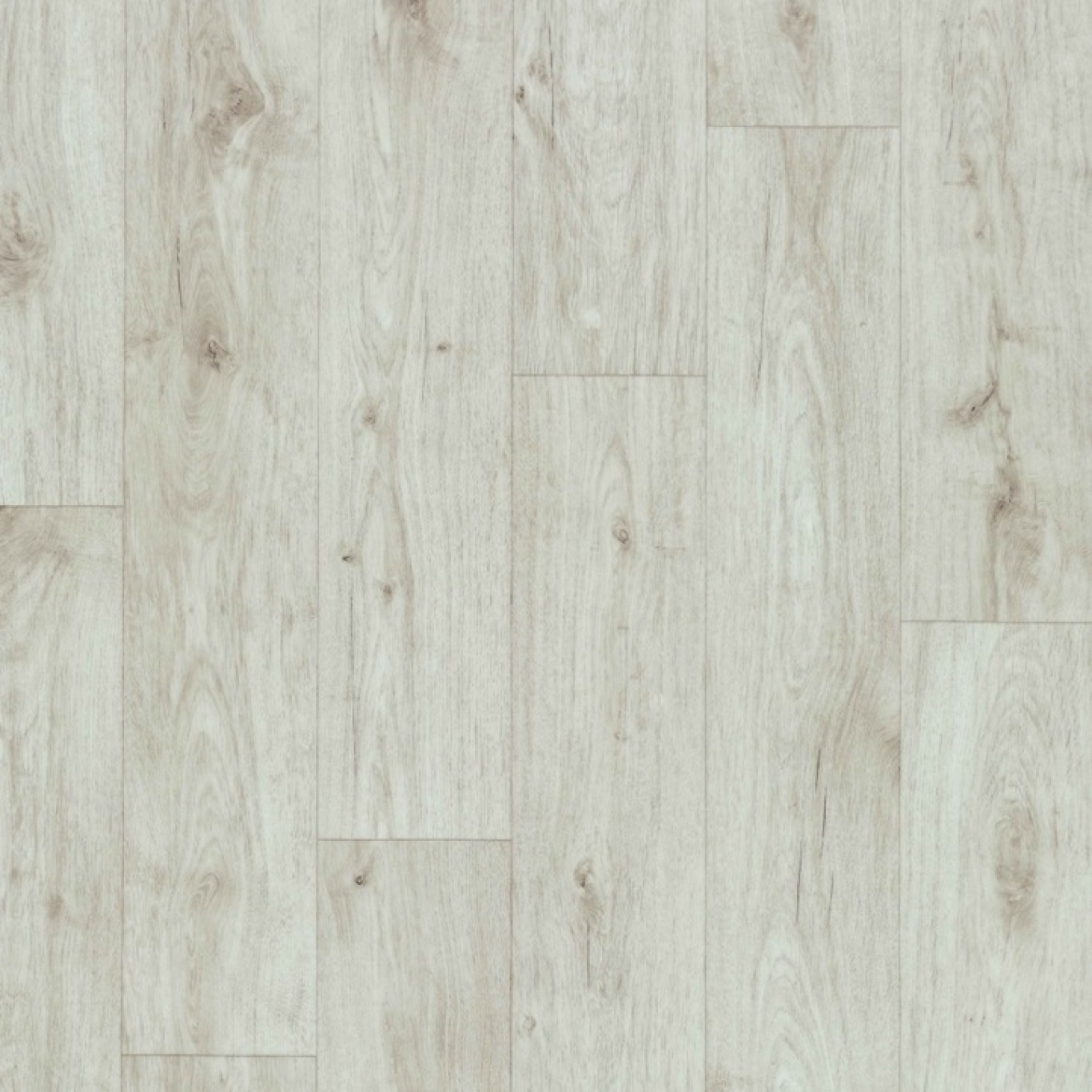 Ohrid Oak S90