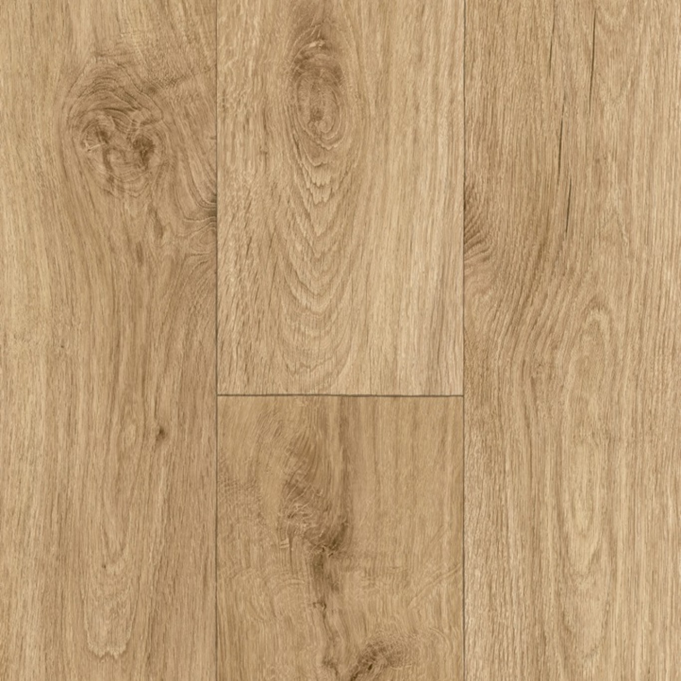 Ohrid Oak S34