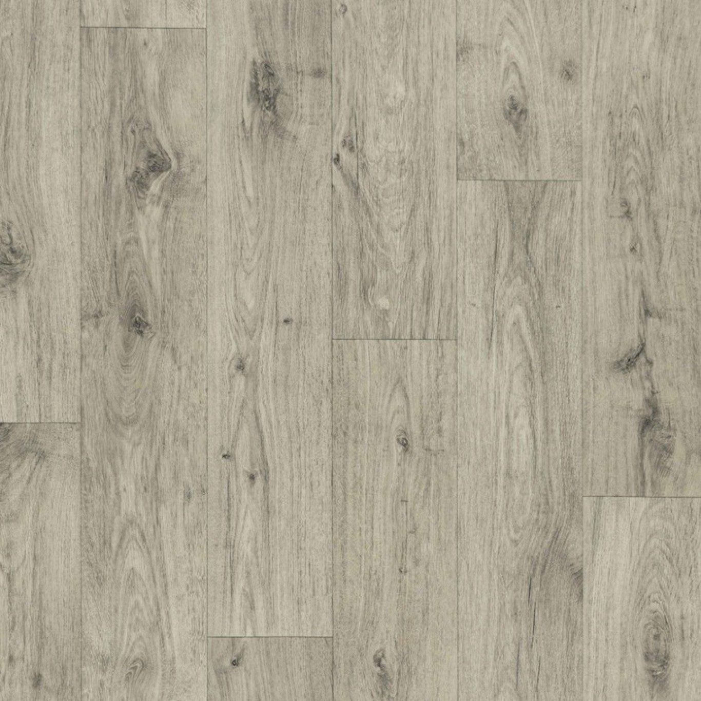 Ohrid Oak S33