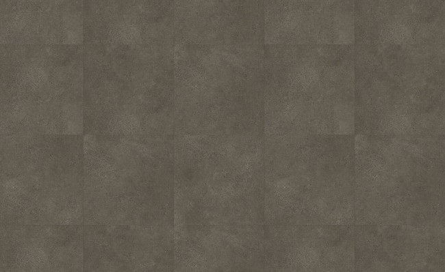 1711 Backyard-Dark-sky-view