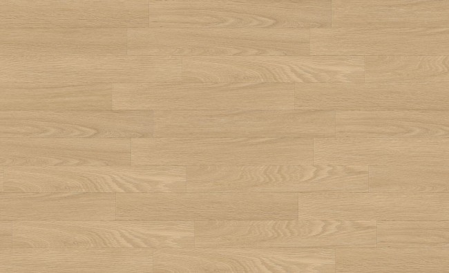 87766 - JPG 72 dpi-Creation 1567 Tamo Clear Sky View