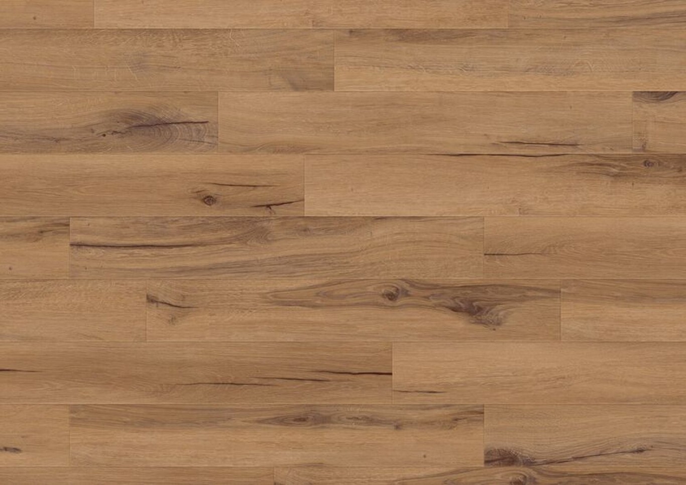 89706 - JPG 72 dpi-Creation 1606 Cedar Golden Sky View