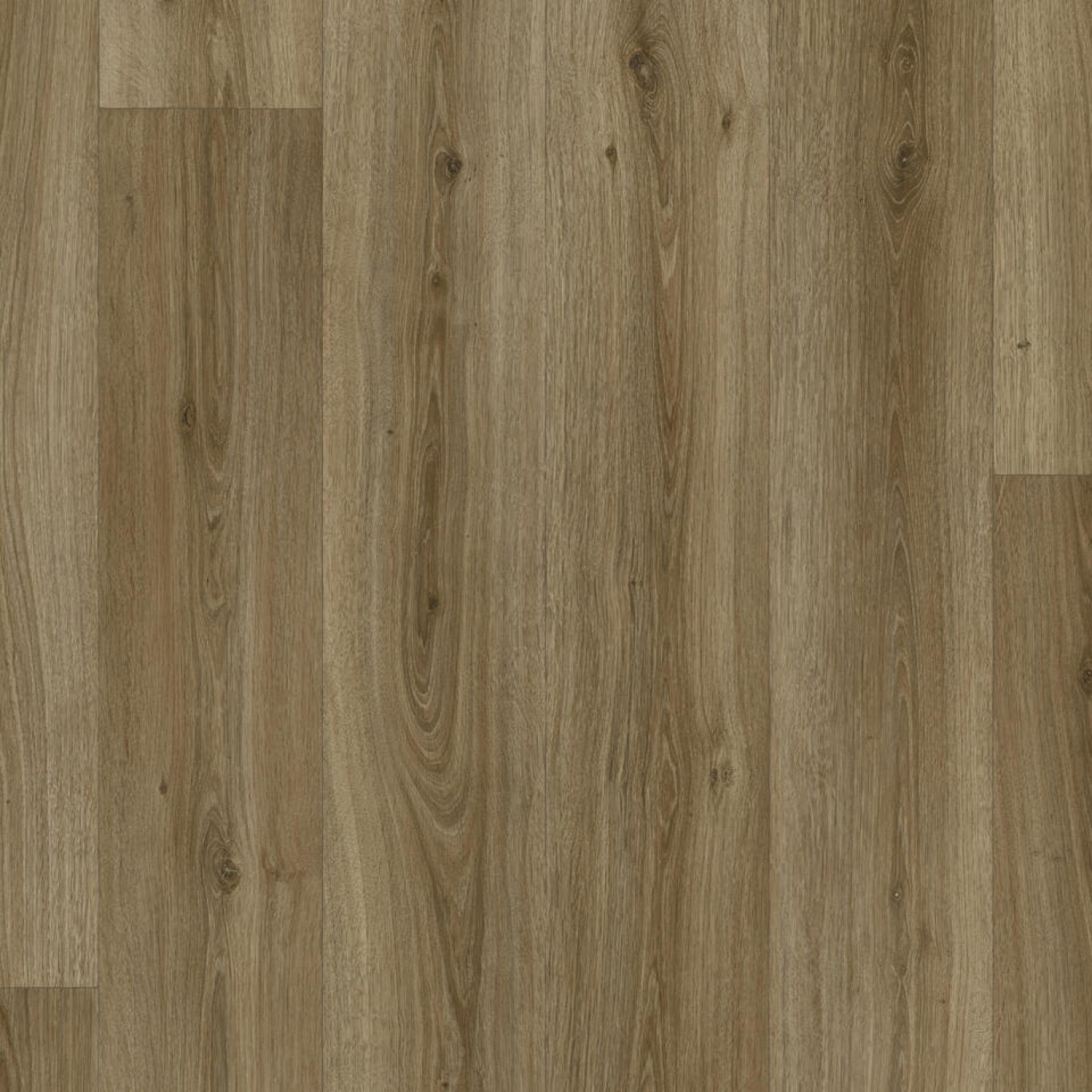 Powell Oak Chestnut