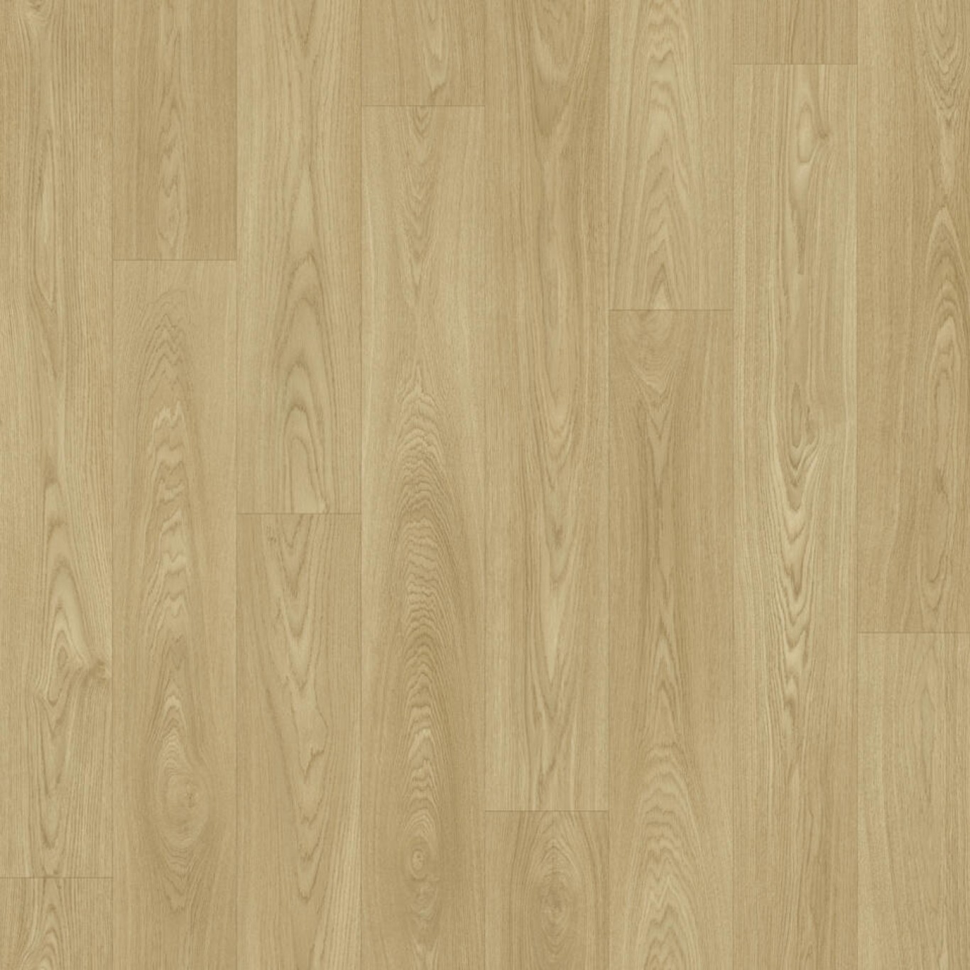 Urban Oak Fallow 001